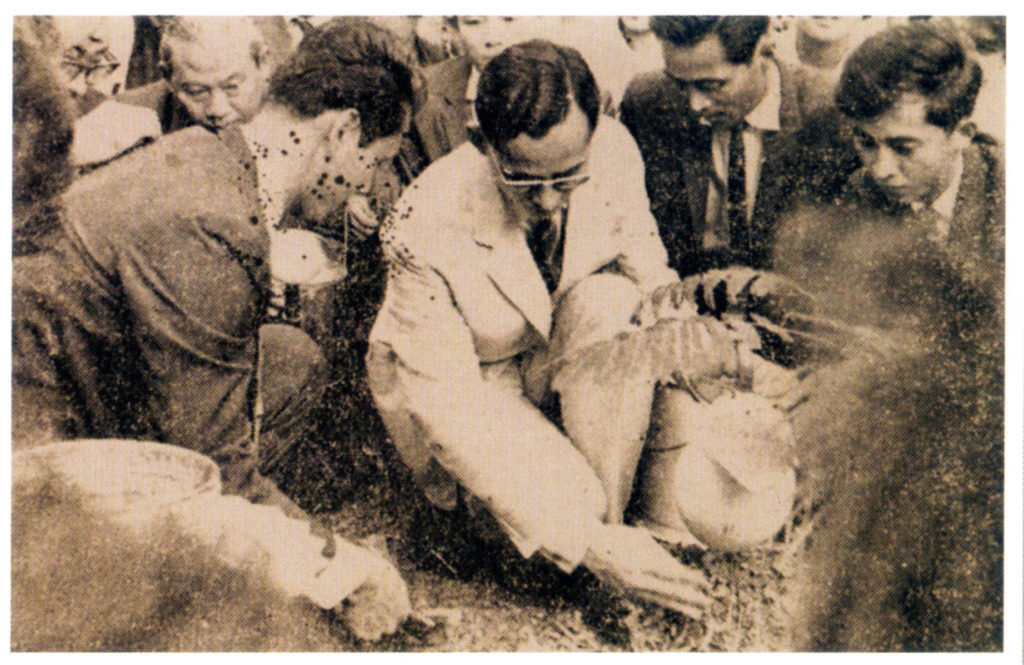 ในหลวงรัชกาลที่ 9 ธรรมศาสตร์