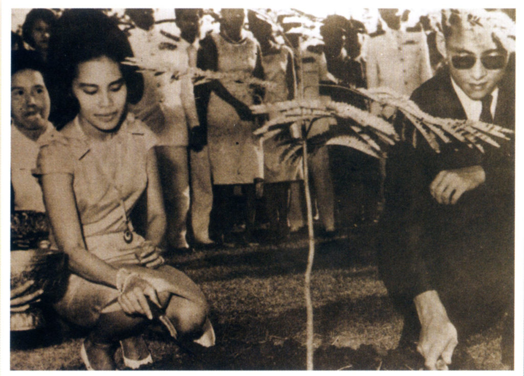 ในหลวงรัชกาลที่ 9 ธรรมศาสตร์