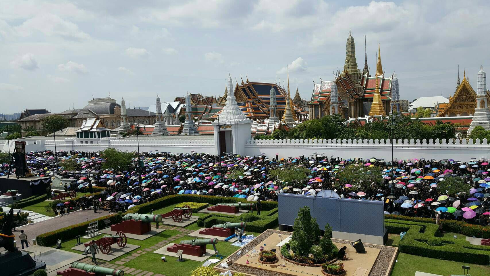44