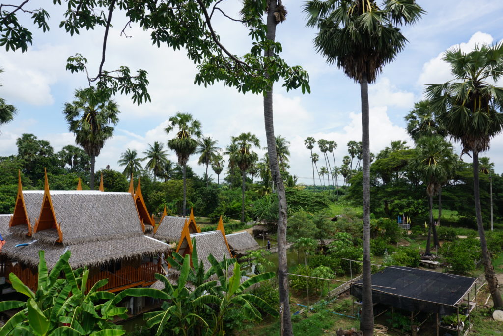 DSC04237