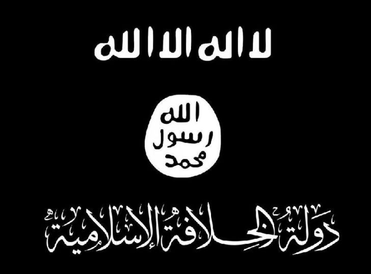 14491136901449115303l