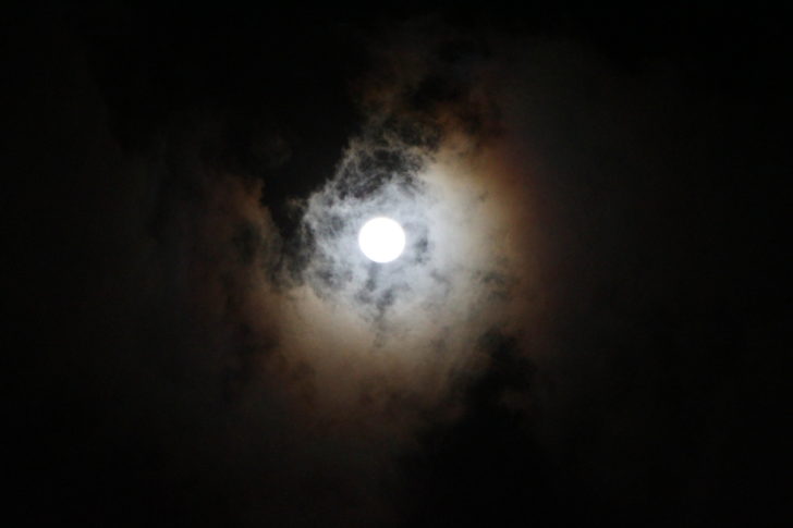 201611141118221-20021028190241