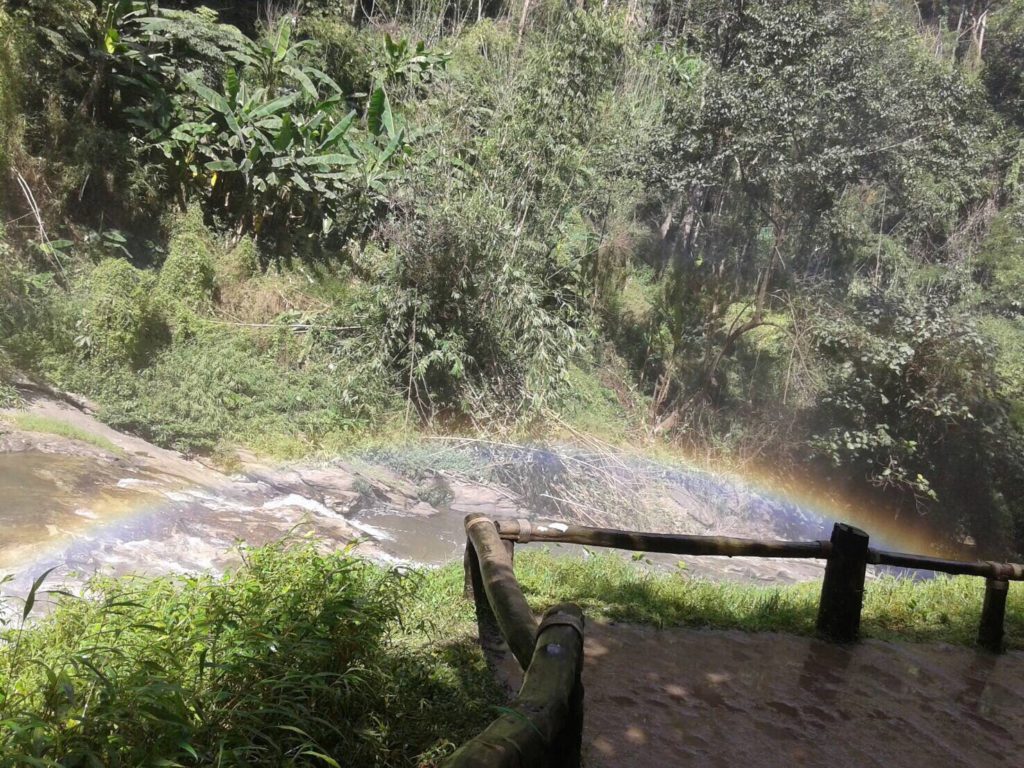 201611171359421-20021028190355