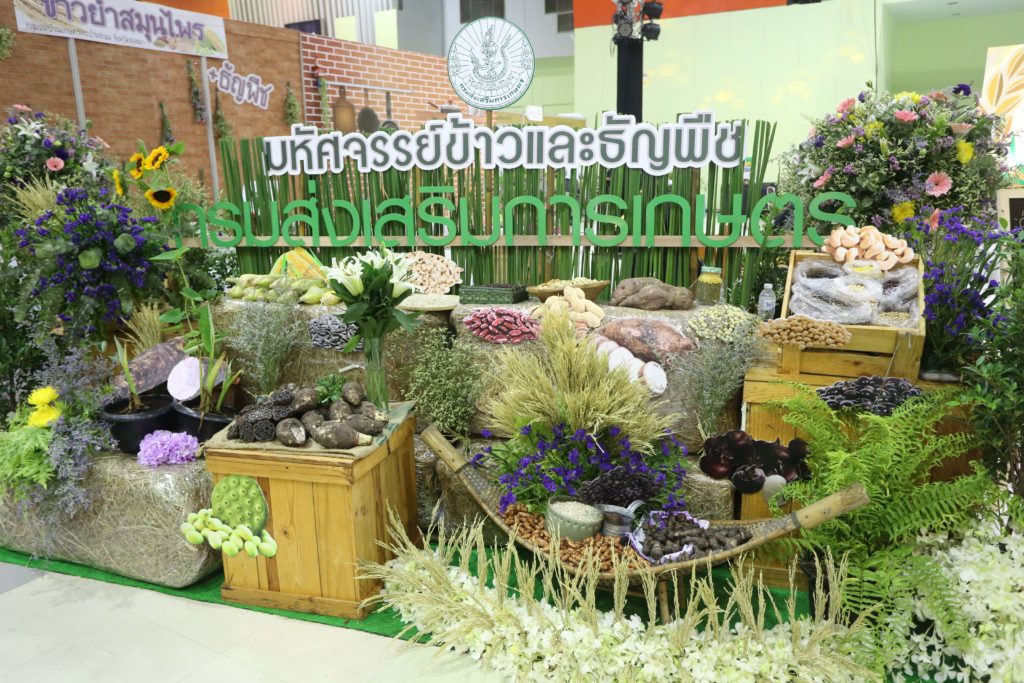 งานข้าว