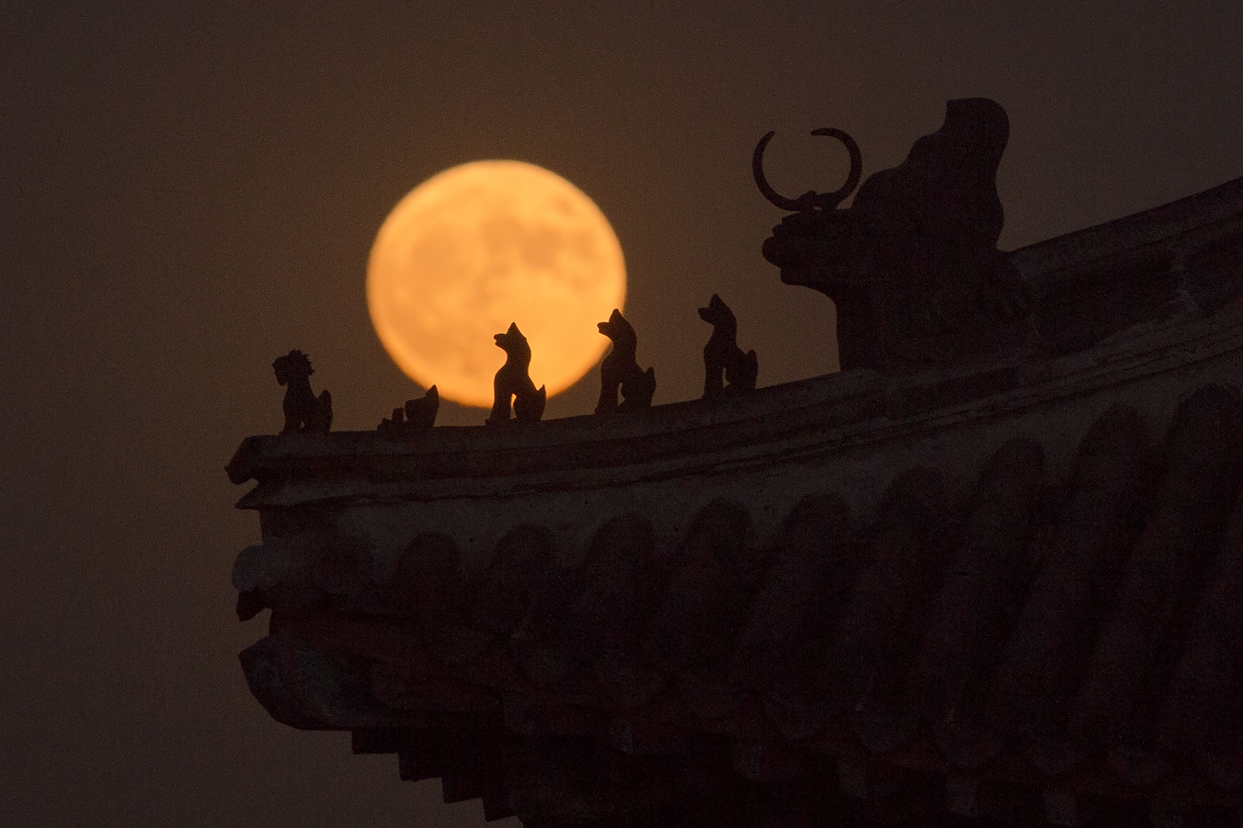 ซุปเปอร์มูนเหนือหลังคาพระราขวังต้องห้าม ในกรุงปักกิ่ง ประเทศจีน / AFP PHOTO / NICOLAS ASFOURI