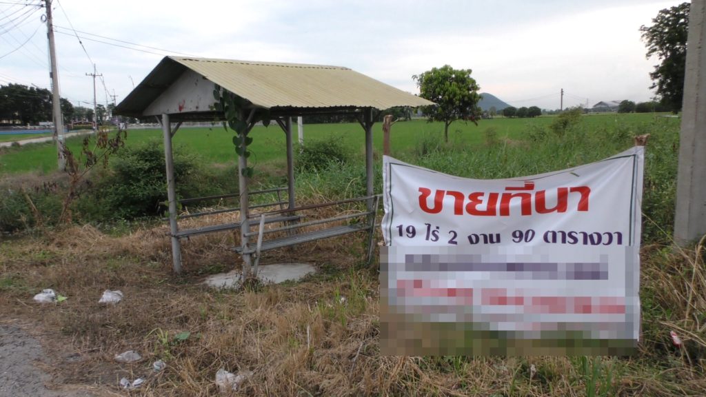 ขายนา ราคาข้าวตก