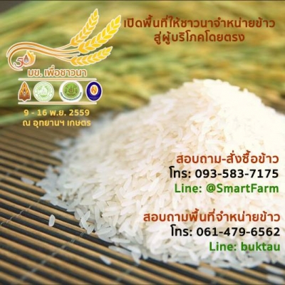 มข