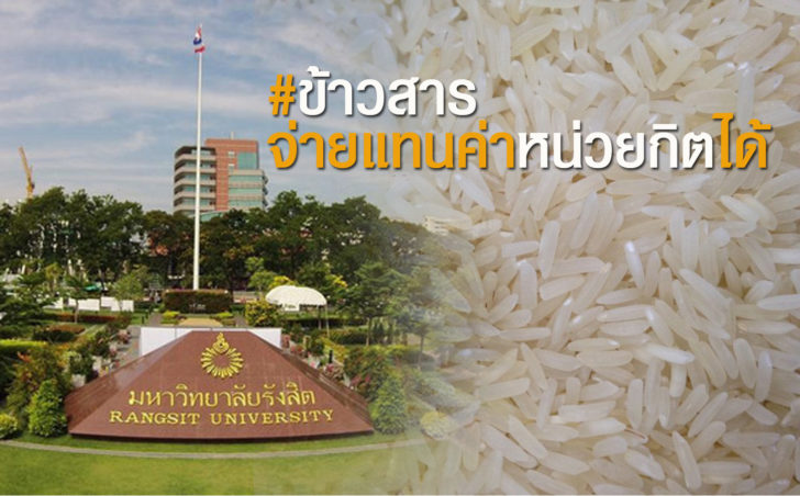 ข้าว ค่าเทอม ม.รังสิต