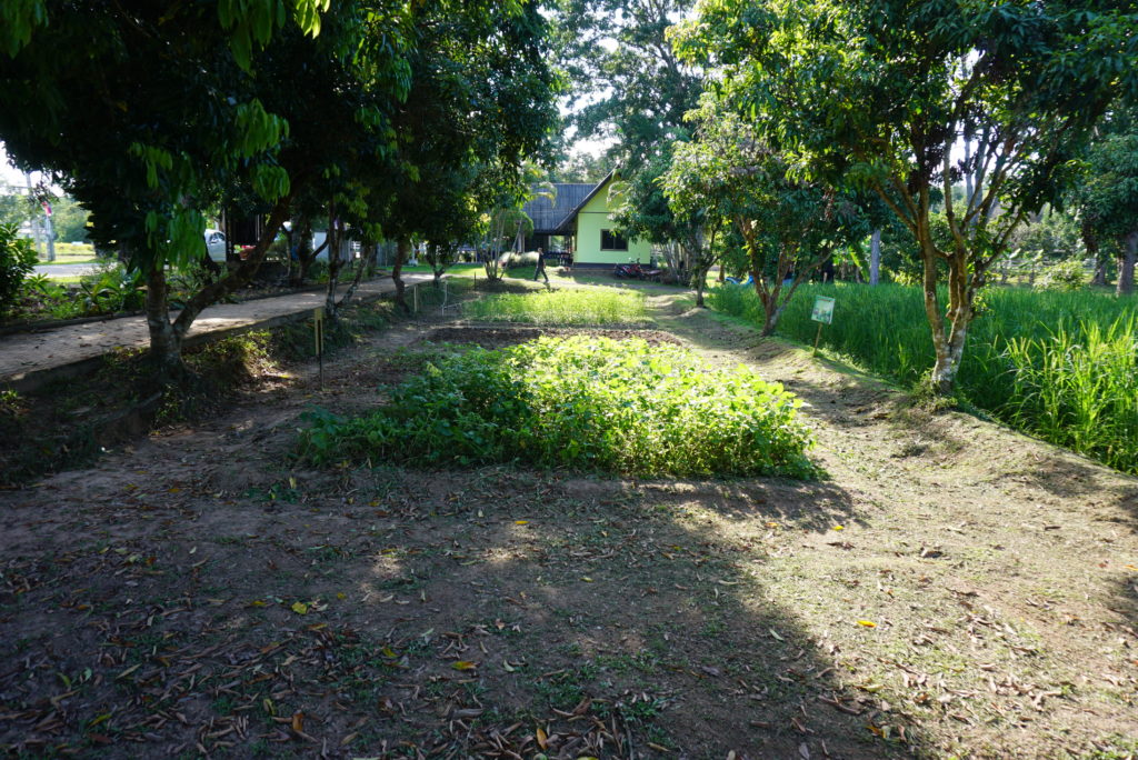 DSC04780