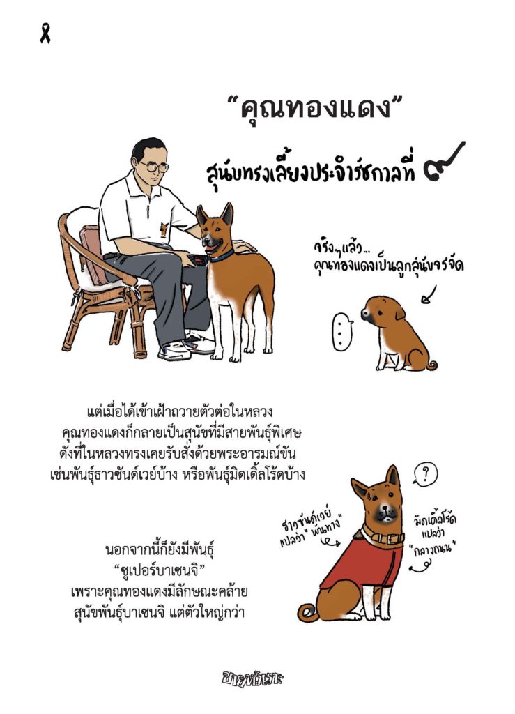KaiSpecial-edit-OK_Page_05