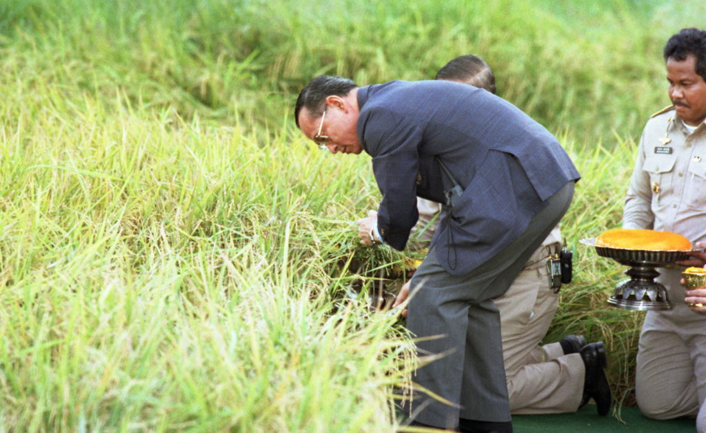 ในหลวง