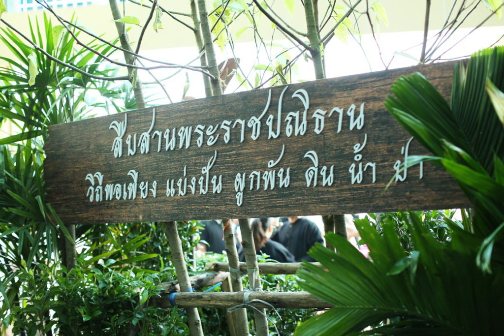 TOM_0815