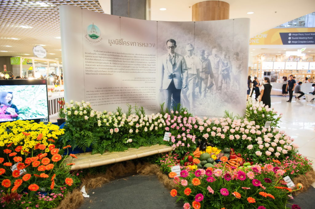resize BJC_7418