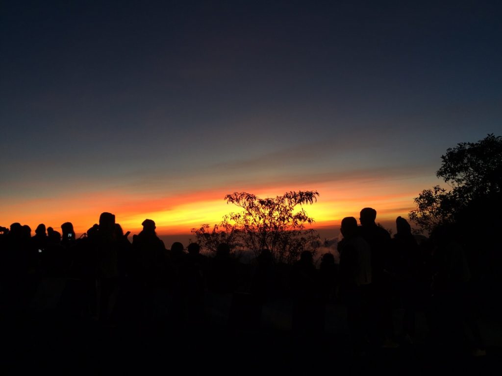 201612021012535-20021028190355