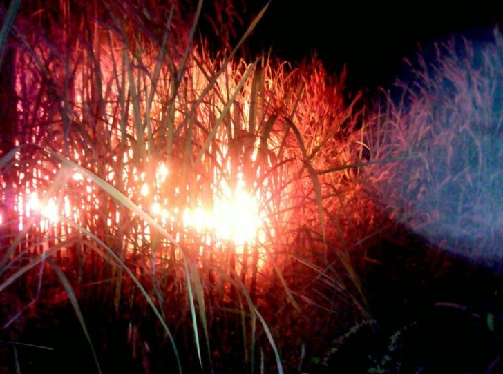 201612041312431-20041019172324
