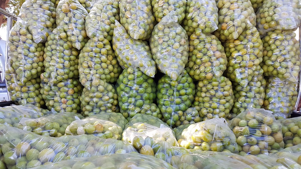201612210827395-20041020104302