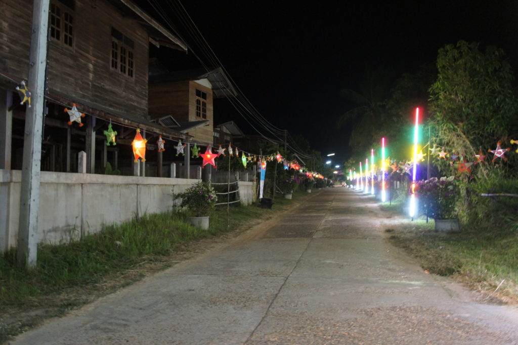 SONY DSC
