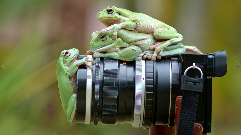 ภาพ: MUHAMMAD ROEM