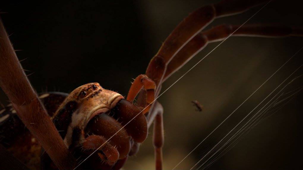 Weaver