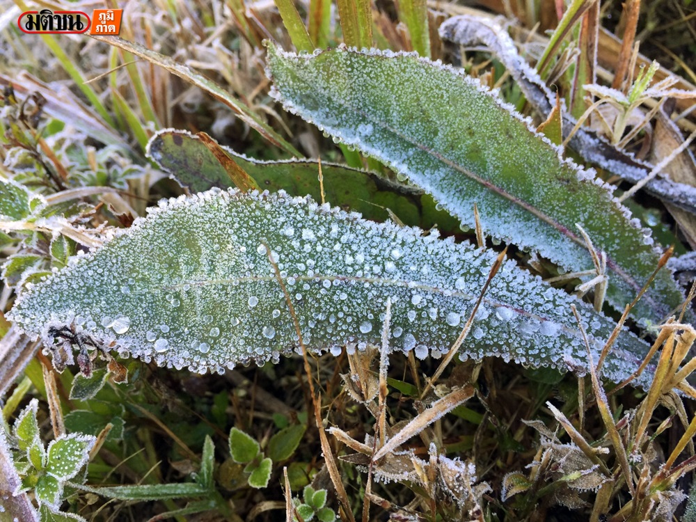 201701130929103-20021028190355