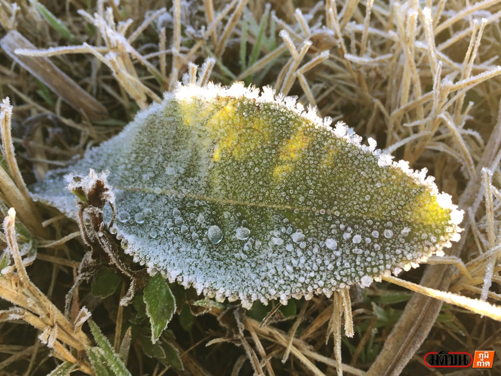 201701130929104-20021028190355