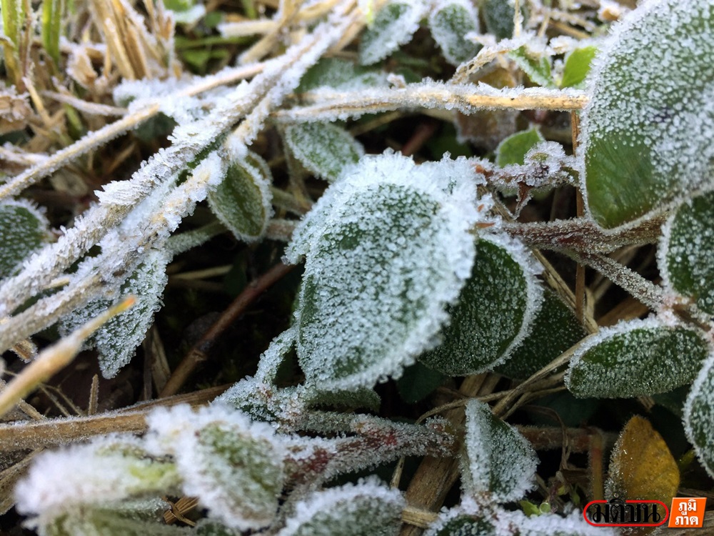 201701130929105-20021028190355