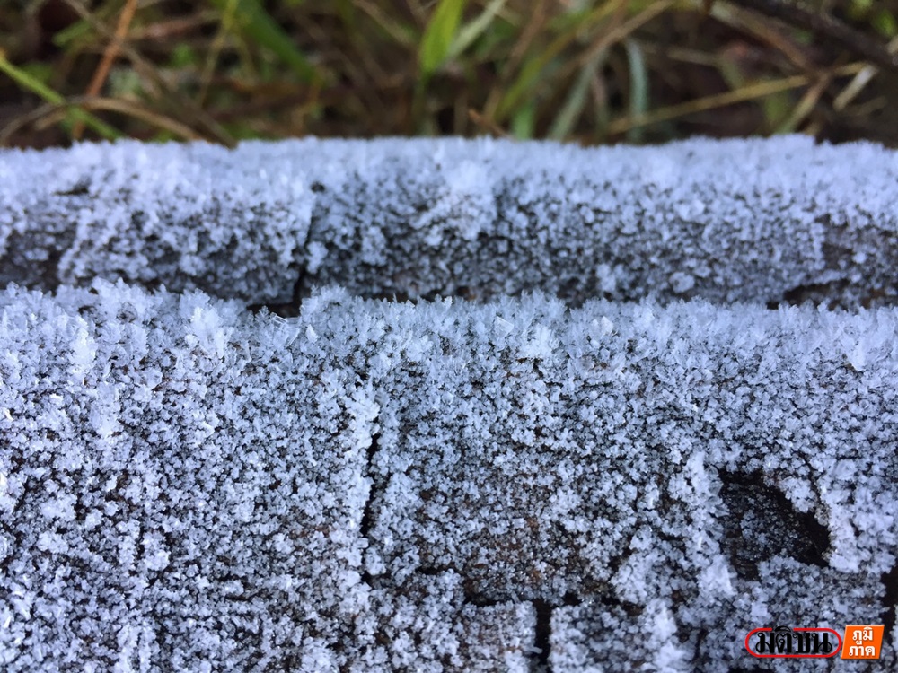 201701130929108-20021028190355