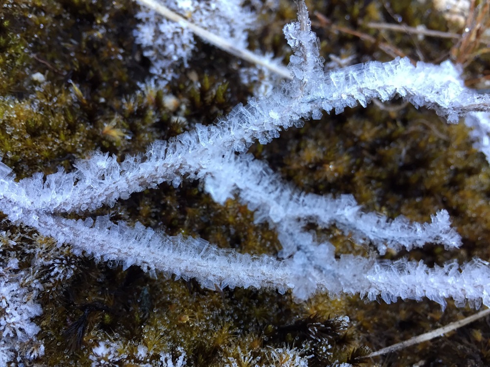 201701140941217-20021028190355