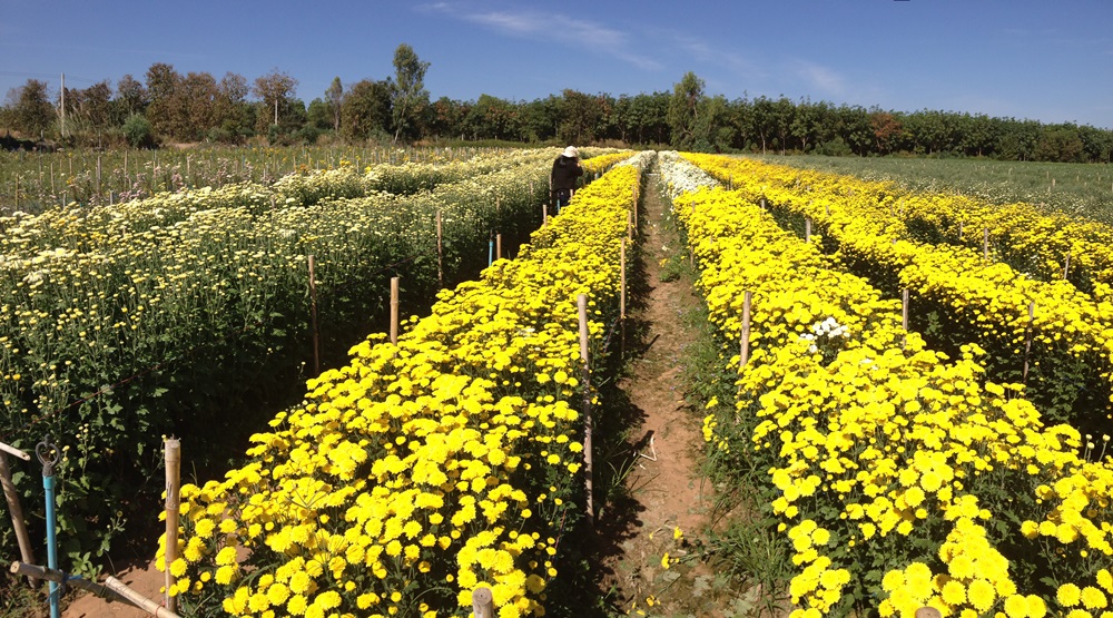 201701161203002-20021028190339