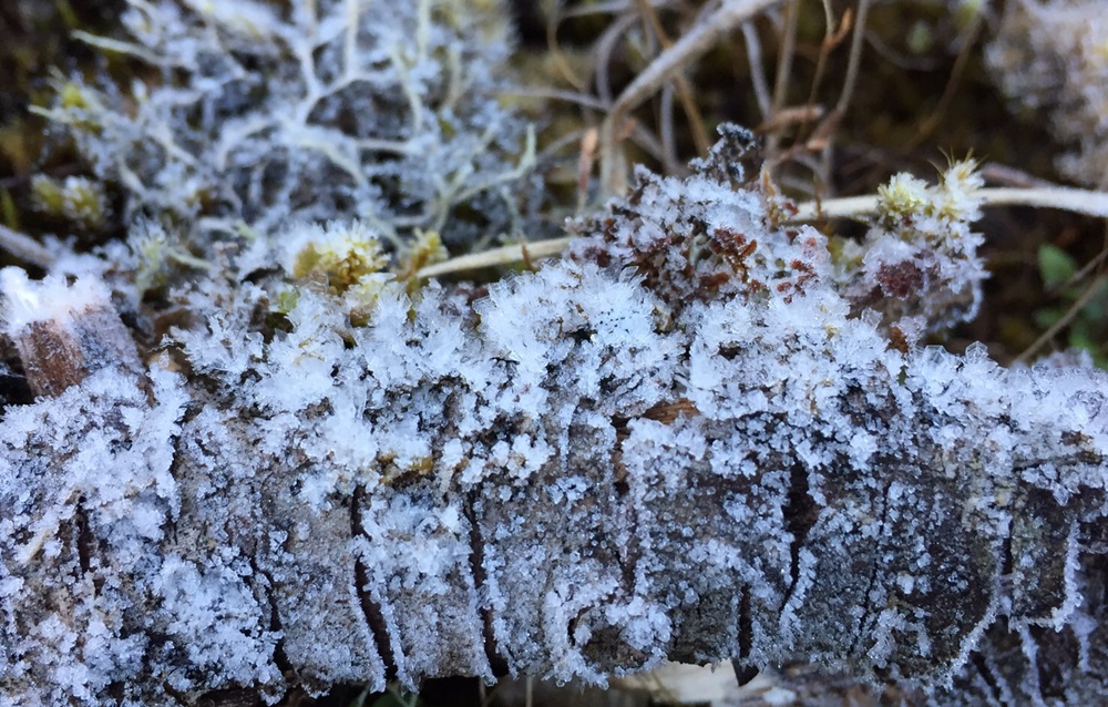 201701170940378-20021028190355