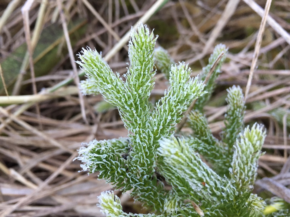201701260938112-20021028190355