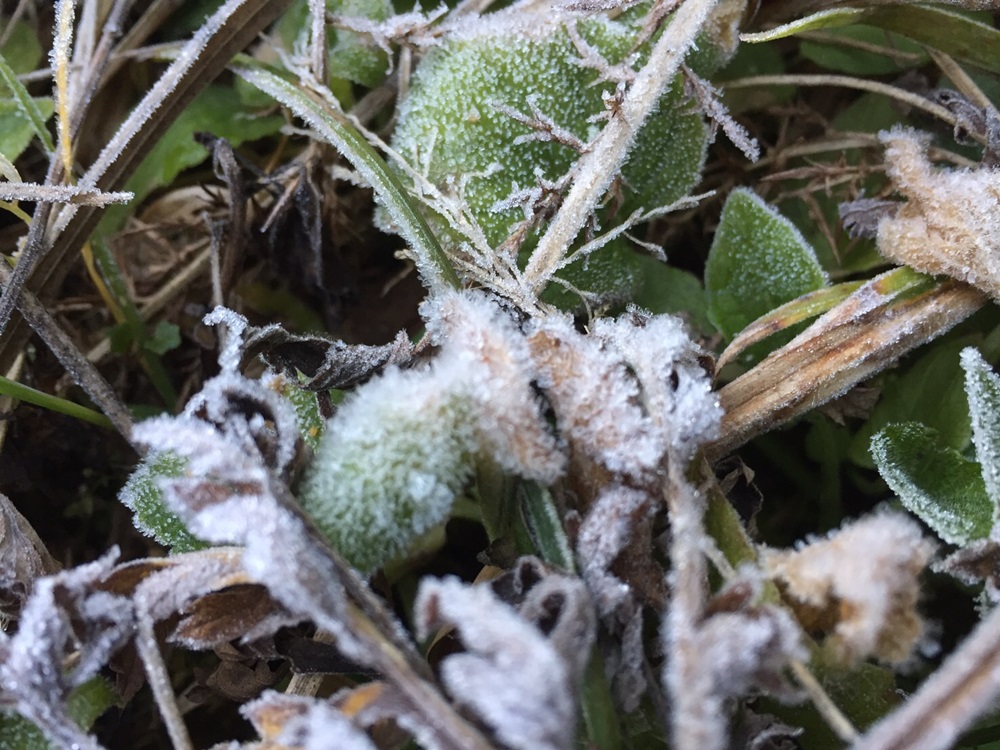 201701260938113-20021028190355