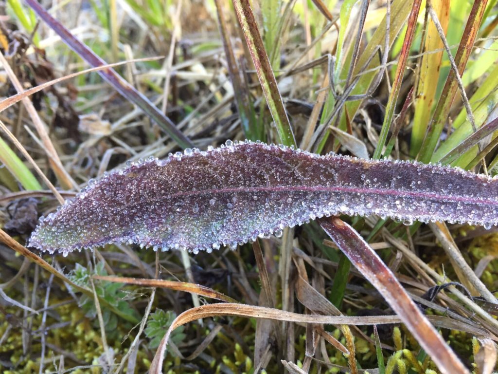 S__6955062