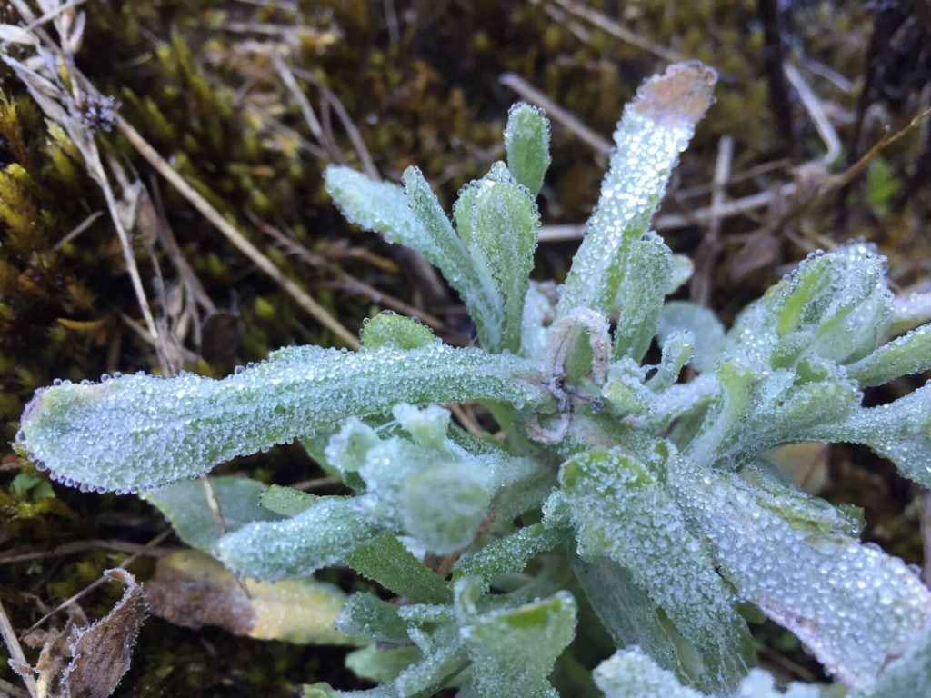 S__6955063