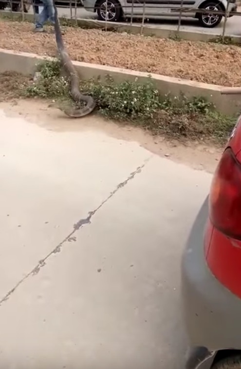 [p[