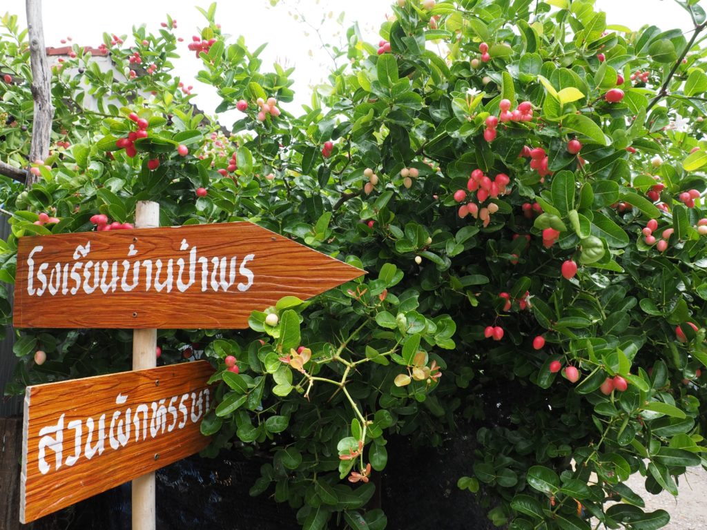 ชุมชนสวยงามน่าอยู่มากขึ้น