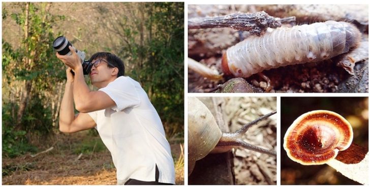 ภาพปกณเดชน์ถ่ายธรรมชาติ