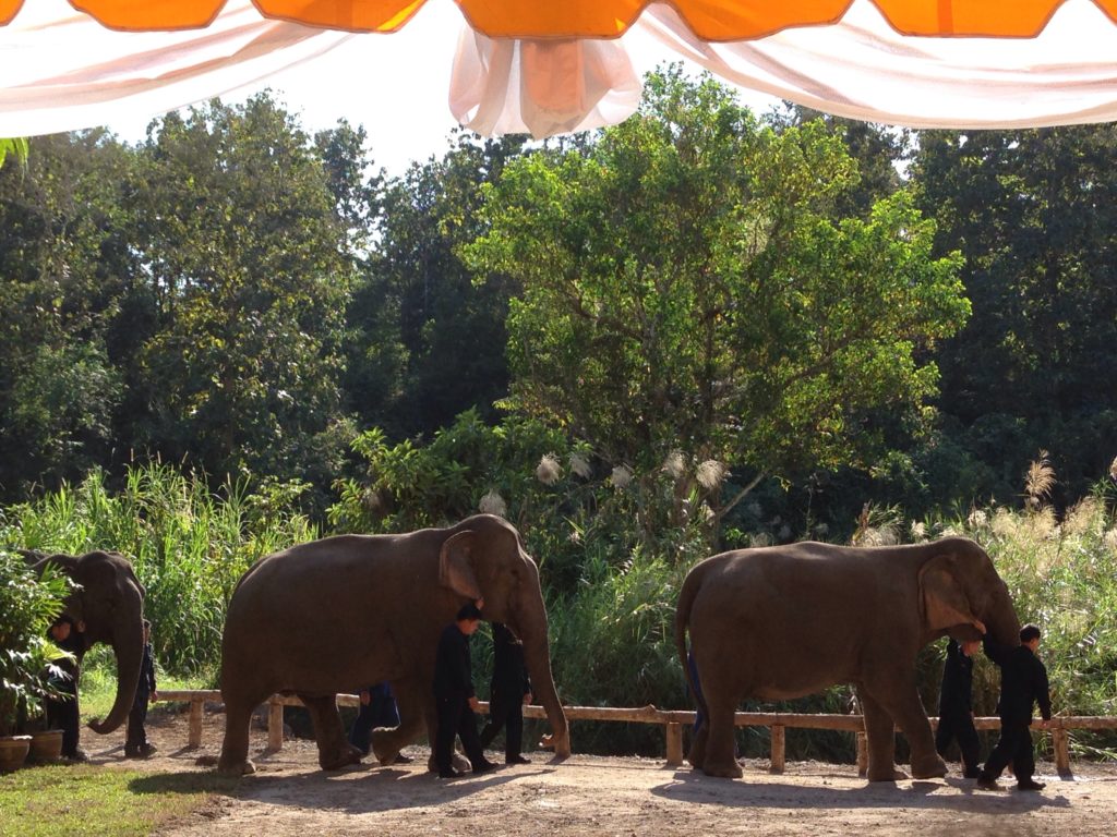 พระเทพ3