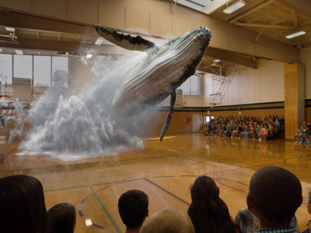 วีอาร์-เออาร์ Magic Leap
