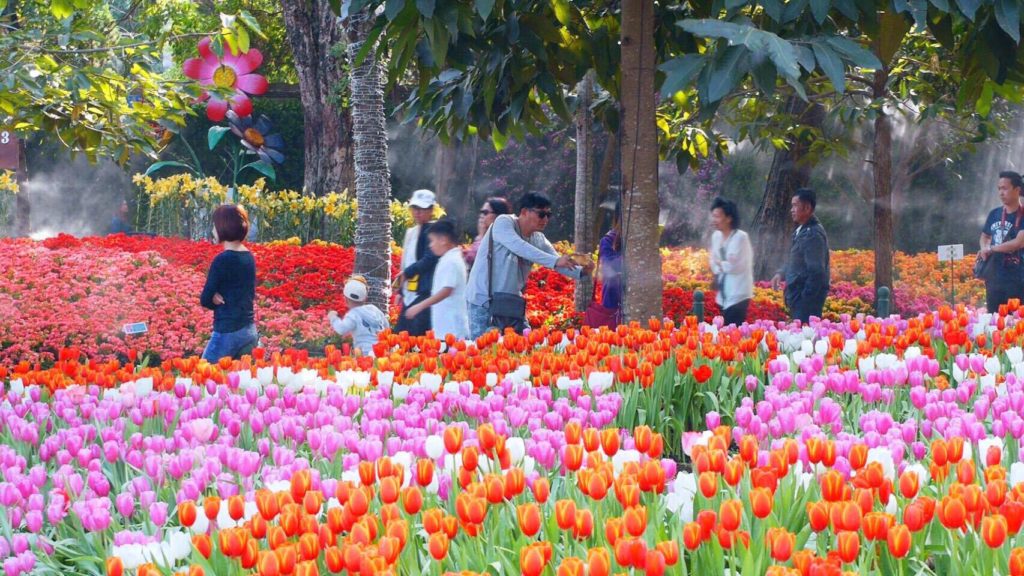 เทศกาลดอกไม้03