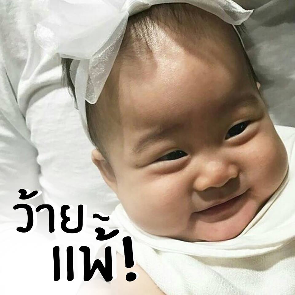 เป่าเปา พอลลีน่า (13)