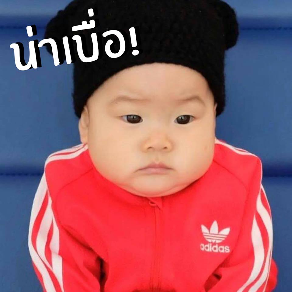 เป่าเปา พอลลีน่า (4)