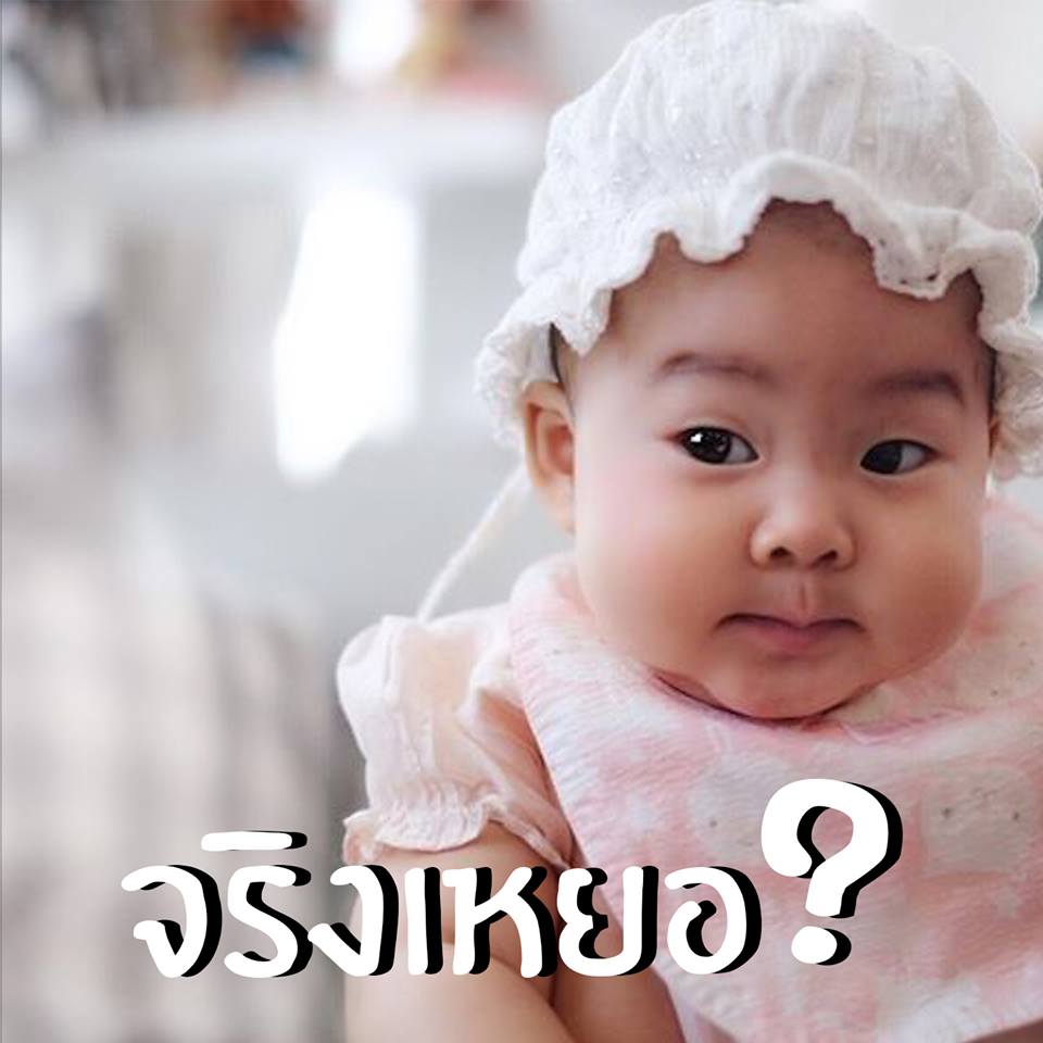 เป่าเปา พอลลีน่า (5)