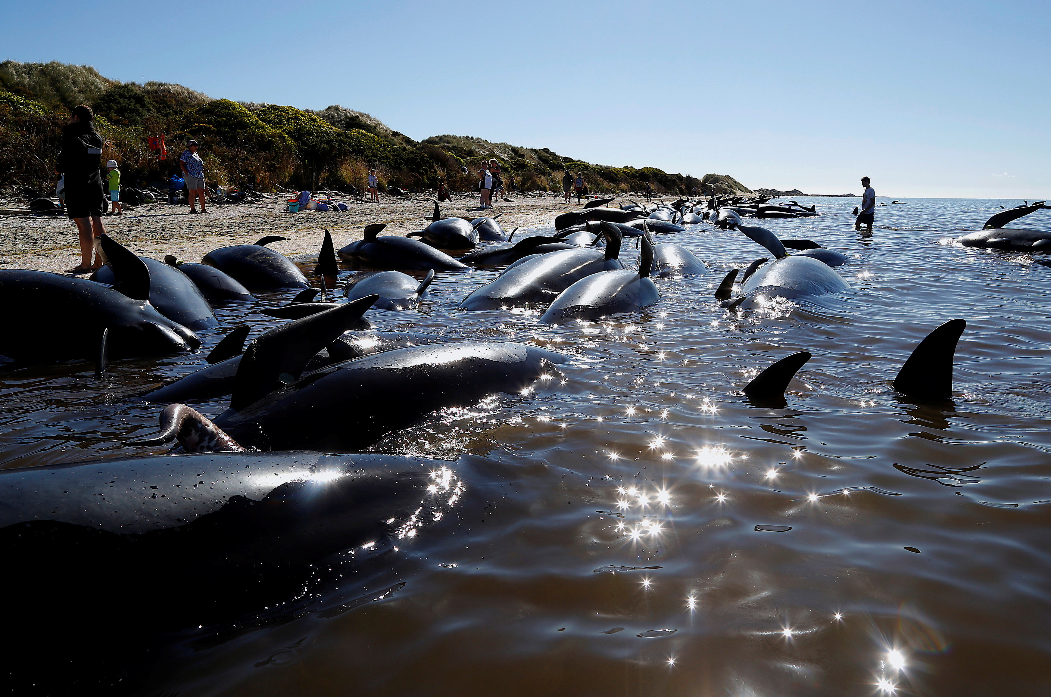 REUTERS/Anthony Phelps