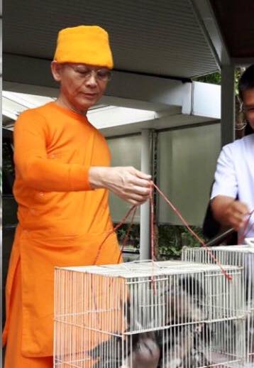 ธัมมชโย
