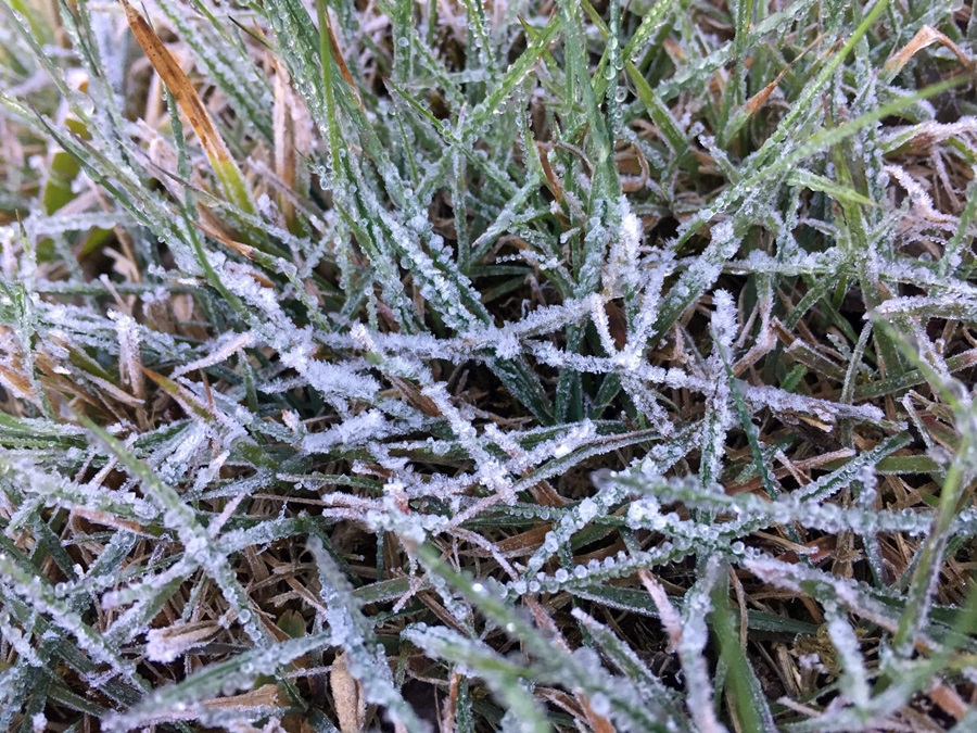 201702020858425-20021028190355