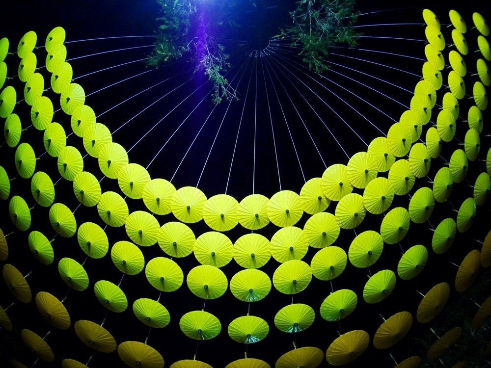 201702020945177-20021028190355