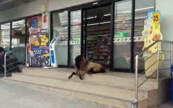 201702181801411-20030103105503