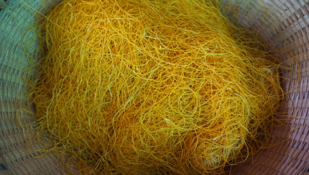 DSC06901