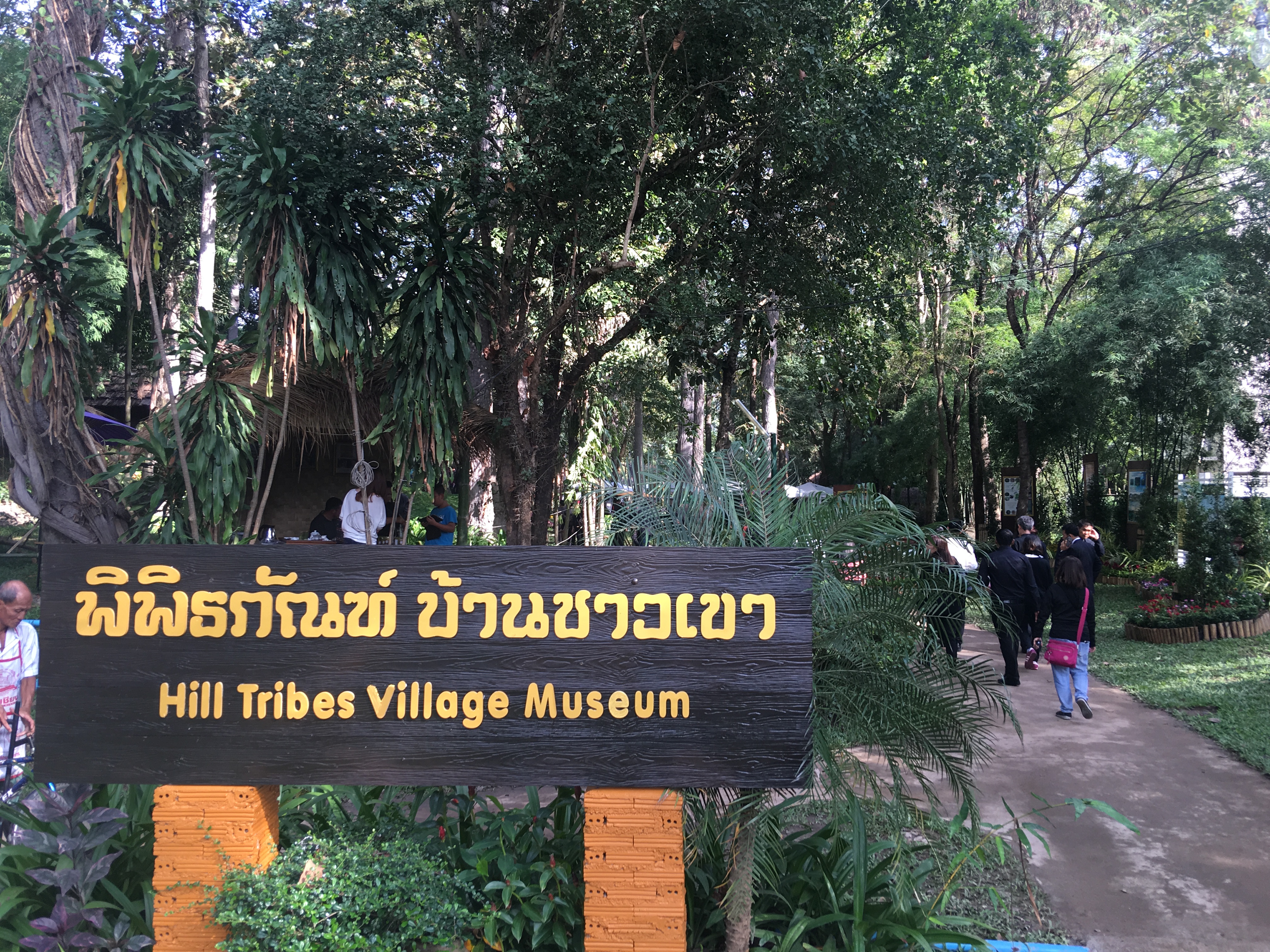 IMG_4609